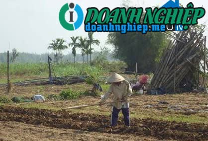 Image of List companies in Nghia Hiep Commune- Tu Nghia District- Quang Ngai