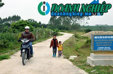 Image of List companies in Quang Tan Commune- Dam Ha District- Quang Ninh