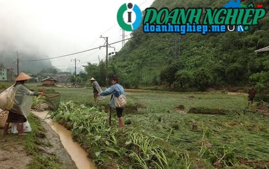 Image of List companies in Bon Phang Commune- Thuan Chau District- Son La