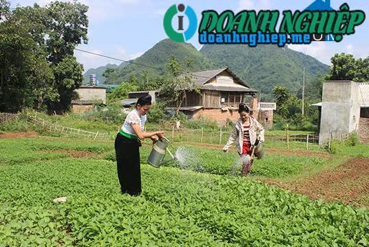 Image of List companies in Thom Mon Commune- Thuan Chau District- Son La