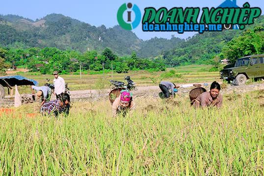 Image of List companies in Song Khua Commune- Van Ho District- Son La