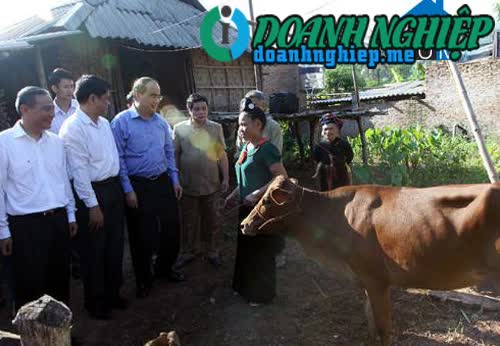 Image of List companies in Sap Vat Commune- Yen Chau District- Son La