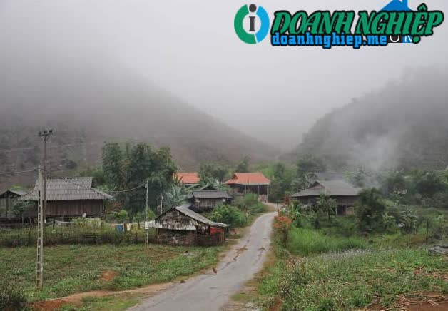 Image of List companies in Yen Son Commune- Yen Chau District- Son La