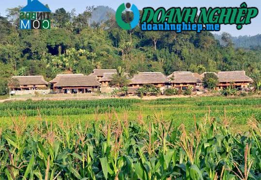 Image of List companies in Son Duong District- Tuyen Quang