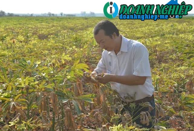 Image of List companies in Tan Hung Commune- Tan Chau District- Tay Ninh