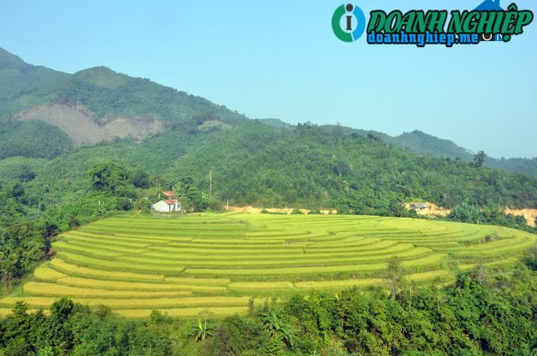 Image of List companies in Yen Than Commune- Tien Yen District- Quang Ninh