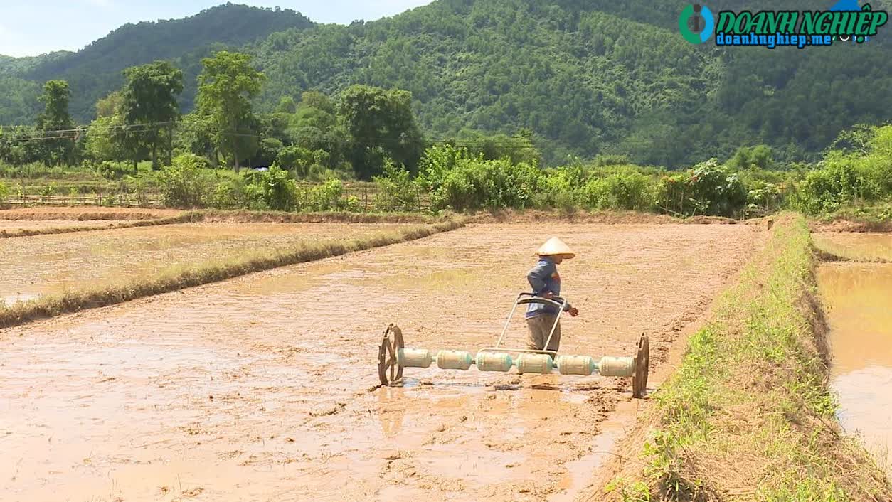 Image of List companies in Hai Phuc Commune- Dak Rong District- Quang Tri