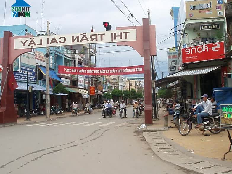 Image of List companies in Cai Lay Town- Tien Giang