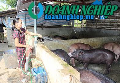 Image of List companies in Chieng San Commune- Muong La District- Son La