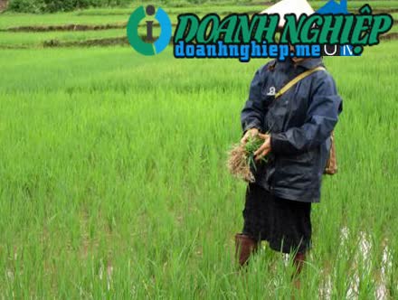 Image of List companies in Muong Bu Commune- Muong La District- Son La