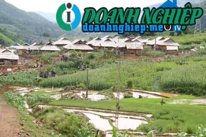 Image of List companies in Muong Chum Commune- Muong La District- Son La