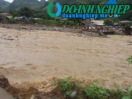 Image of List companies in Nam Pam Commune- Muong La District- Son La