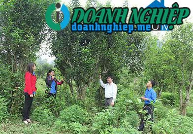 Image of List companies in Muong Do Commune- Phu Yen District- Son La