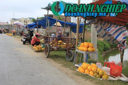 Image of List companies in Thinh Loc Commune- Hau Loc District- Thanh Hoa
