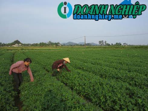 Image of List companies in Hoang Trinh Commune- Hoang Hoa District- Thanh Hoa