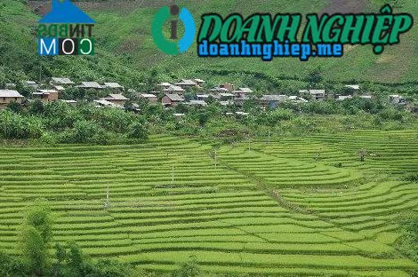 Image of List companies in Tam Chung Commune- Muong Lat District- Thanh Hoa
