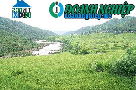 Image of List companies in Ten Tan Commune- Muong Lat District- Thanh Hoa