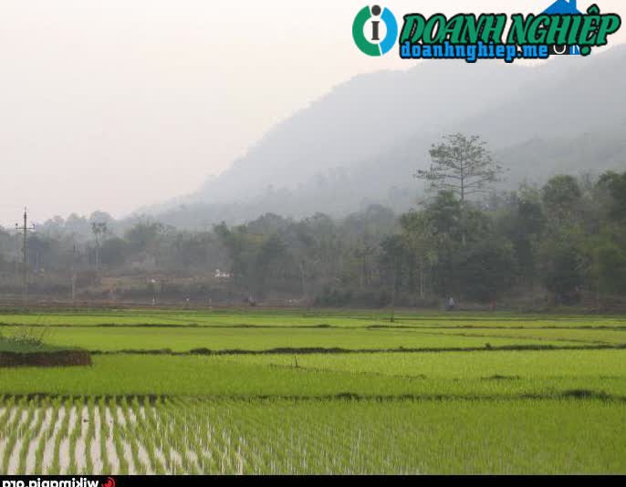 Image of List companies in Thach Lap Commune- Ngoc Lac District- Thanh Hoa