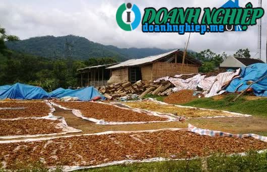 Image of List companies in Xuan Quy Commune- Nhu Xuan District- Thanh Hoa