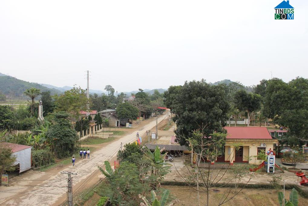 Image of List companies in Phuong Nghi Commune- Nhu Thanh District- Thanh Hoa