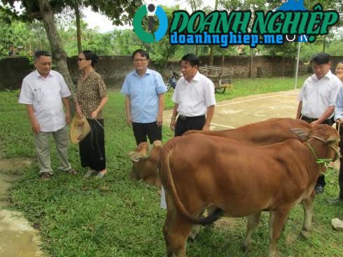 Image of List companies in Tan Tho Commune- Nong Cong District- Thanh Hoa