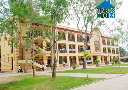 Image of List companies in Trung Y Commune- Nong Cong District- Thanh Hoa