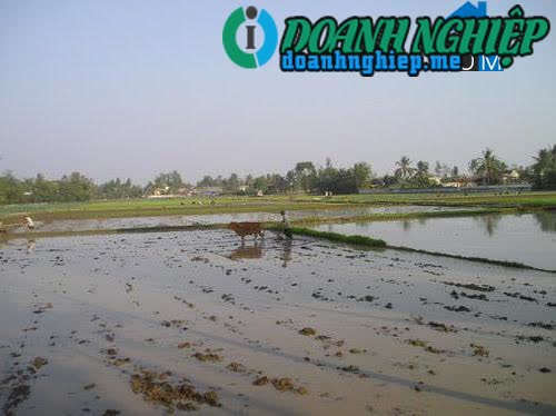 Image of List companies in Quang Nhan Commune- Quang Xuong District- Thanh Hoa
