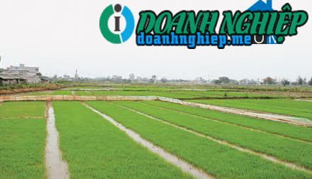 Image of List companies in Dong Ha Commune- Dong Hung District- Thai Binh