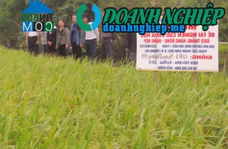 Image of List companies in Hoa Binh Commune- Kien Xuong District- Thai Binh