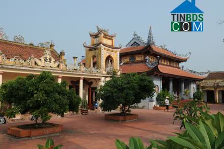 Image of List companies in Tay Phong Commune- Tien Hai District- Thai Binh