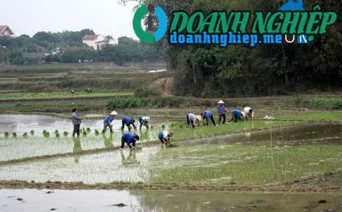 Image of List companies in Cu Van Commune- Dai Tu District- Thai Nguyen
