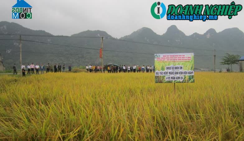 Image of List companies in Bao Cuong Commune- Dinh Hoa District- Thai Nguyen