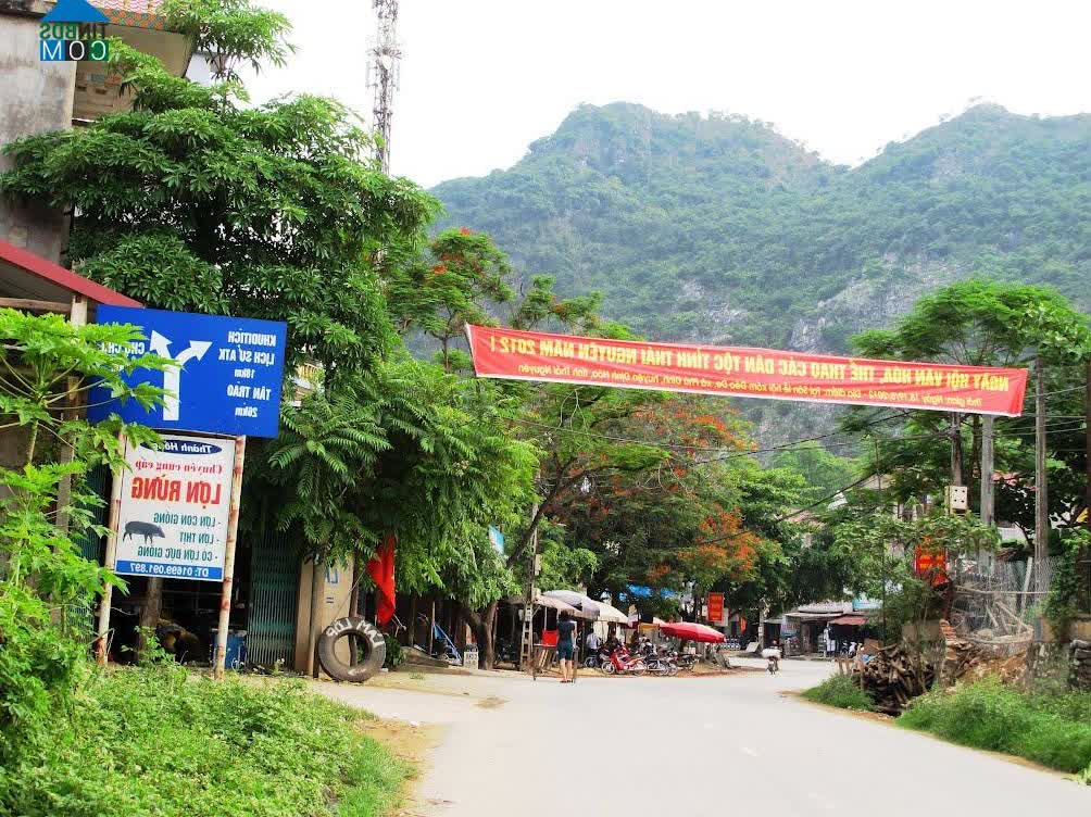 Ảnh về Doanh nghiệp tại Thị trấn Chợ Chu- Huyện Định Hóa- Thái Nguyên