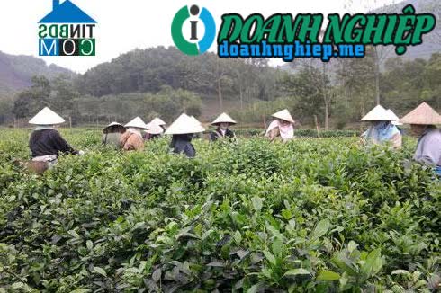 Image of List companies in Quan Chu Town- Dai Tu District- Thai Nguyen