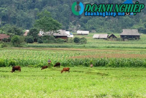 Ảnh về Doanh nghiệp tại Xã Thượng Nung- Huyện Võ Nhai- Thái Nguyên