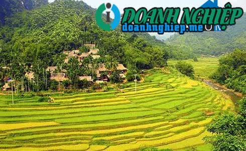 Image of List companies in Ky Tan Commune- Ba Thuoc District- Thanh Hoa