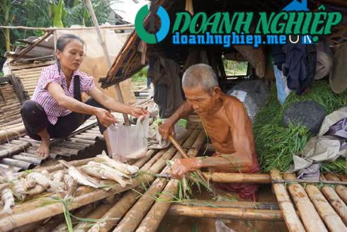 Image of List companies in Cam Ngoc Commune- Cam Thuy District- Thanh Hoa