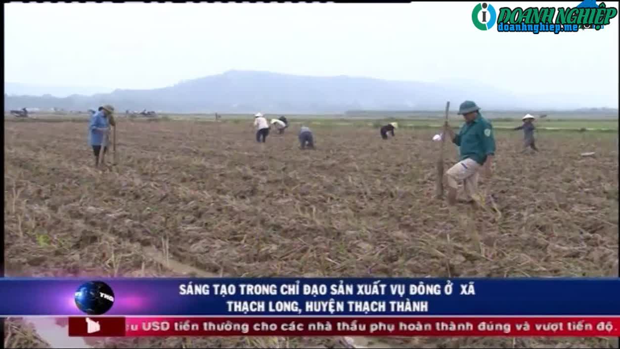 Image of List companies in Thach Long Commune- Thach Thanh District- Thanh Hoa