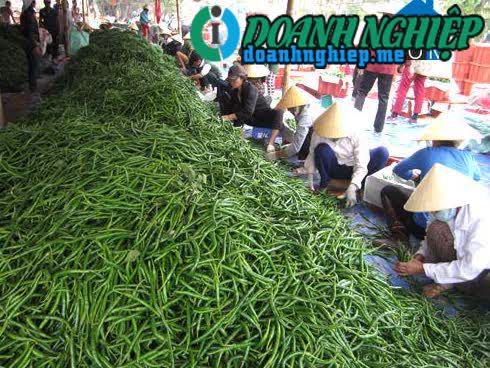Image of List companies in Xuan Quang Commune- Tho Xuan District- Thanh Hoa