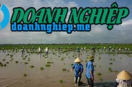 Ảnh về Doanh nghiệp tại Xã Nam Giang- Huyện Thọ Xuân- Thanh Hóa