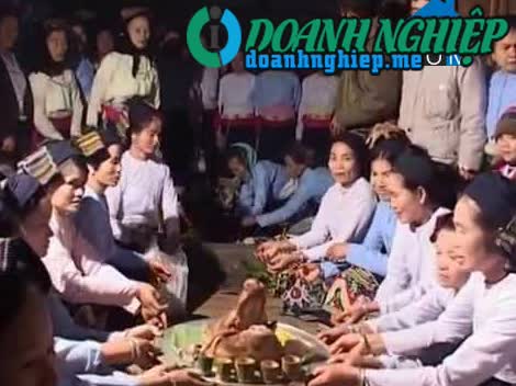 Image of List companies in Van Xuan Commune- Thuong Xuan District- Thanh Hoa