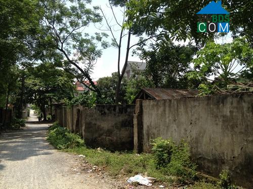 Image of List companies in Hai An Commune- Tinh Gia District- Thanh Hoa