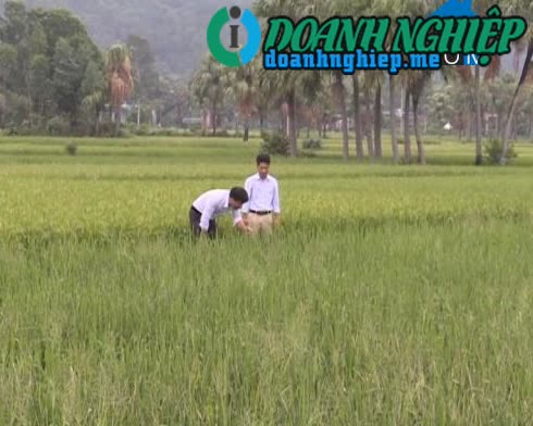 Ảnh về Doanh nghiệp tại Xã Ninh Hải- Huyện Tĩnh Gia- Thanh Hóa