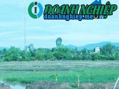 Image of List companies in Dong Tien Commune- Trieu Son District- Thanh Hoa