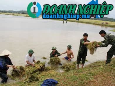 Image of List companies in Hop Thang Commune- Trieu Son District- Thanh Hoa