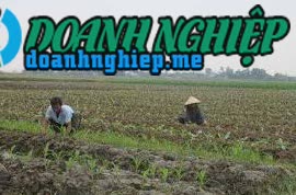 Image of List companies in Minh Chau Commune- Trieu Son District- Thanh Hoa