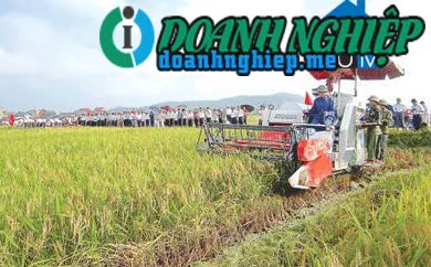 Image of List companies in Dinh Hoa Commune- Yen Dinh District- Thanh Hoa