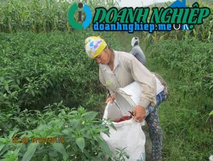 Image of List companies in Vinh Thinh Commune- Vinh Loc District- Thanh Hoa