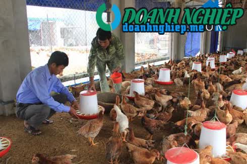 Image of List companies in Dinh Tien Commune- Yen Dinh District- Thanh Hoa