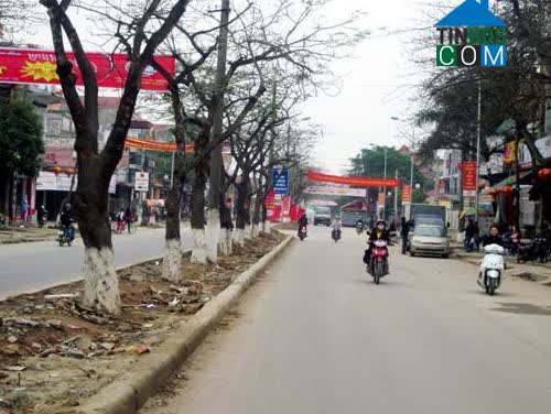 Ảnh về Doanh nghiệp tại Thị trấn Quán Lào- Huyện Yên Định- Thanh Hóa